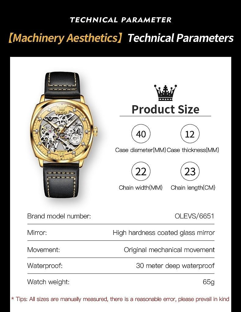 Olevs Quality Square Automatic Mechanical Luxury Watch